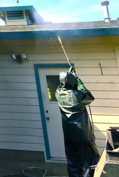 Siding & Roofline Wash